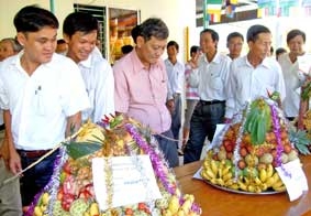 Nét văn hóa mới xứ cù lao