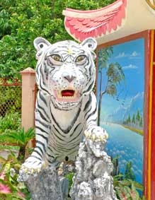 Tìm hiểu tín ngưỡng thờ cọp ở Nam bộ