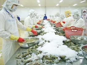 Phát triển nông nghiệp bền vững ở Đồng bằng sông Cửu Long