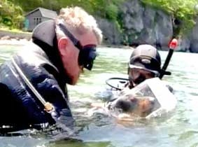 Chó học lặn bằng bình dưỡng khí