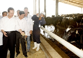 Nghệ An cần tập trung ưu tiên đầu tư phát triển kinh tế-xã hội 11 huyện phía Tây của tỉnh