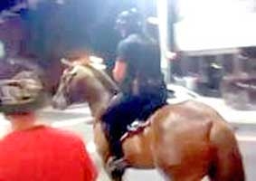 Cảnh sát cưỡi ngựa 
đi tuần