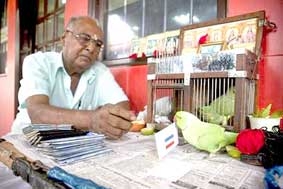 Đối thủ của “bạch tuộc tiên tri”