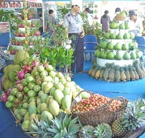 Cần xây dựng thương hiệu cho nông sản và sản phẩm làng nghề