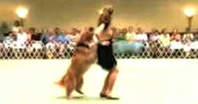 Khiêu vũ cùng chó