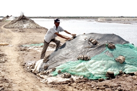 Diêm dân vẫn gặp khó