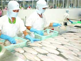 Cần có giá sàn và dự báo thị trường chính xác