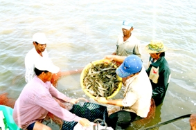 Để phát triển thủy sản thành ngành kinh tế mũi nhọn