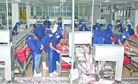 Để phát triển thủy sản thành ngành kinh tế mũi nhọn