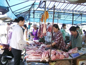 Giá heo hơi giảm mạnh, người chăn nuôi heo lao đao!