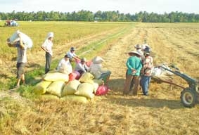 Cần đầu tư có chiến lược