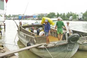 Nhà nông không còn lúa bán!