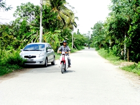 Để thương mại là động lực cho vùng nông thôn phát triển