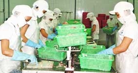 Khởi sắc, nhưng chưa như mong đợi