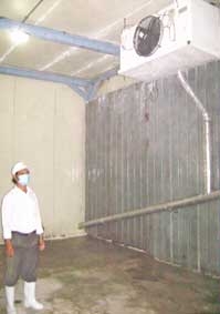 Nỗ lực khẳng định thương hiệu Việt