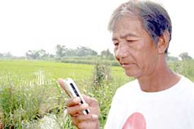 Tư vấn kỹ thuật trồng lúa qua tin nhắn