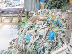 Ô nhiễm môi trường - Bi kịch từ rác thải, nước thải