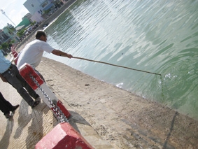 Ô nhiễm môi trường - Bi kịch từ rác thải, nước thải