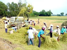 Cần sự liên kết vùng