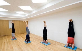 Thư thái và khỏe khoắn cùng yoga