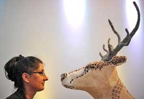 Triển lãm nghệ thuật ăn được