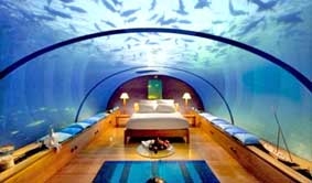 Trăng mật giữa lòng đại dương