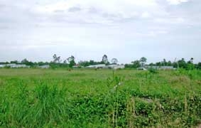 Cần có giải pháp mạnh, tạo sự đột phá