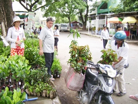 Nhiều giống cây đặc sản hút hàng