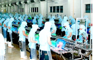 Các cơ sở sản xuất công nghiệp giải quyết việc làm cho khoảng 99.500 lao động