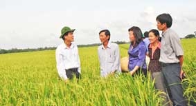 Khởi động cho cơ giới hóa nông nghiệp