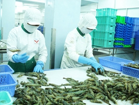 "Cởi trói" cho nhập khẩu thủy sản!