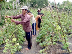 Vùng sâu hiếu học