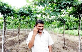 Điện thoại giá rẻ hỗ trợ đắc lực cho nông dân Ấn Độ