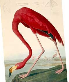 Quyển sách đắt tiền nhất thế giới