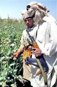Cuộc chiến Afghanistan với sự trỗi dậy của Taliban