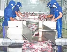 Xuất khẩu thủy sản còn nhiều trở ngại