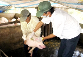 Phải kiểm soát chặt từ lò giết mổ