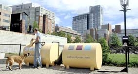 Năng lượng thắp sáng công viên được xử lý từ phân chó