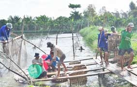 Động lực thúc đẩy kinh tế thủy sản phát triển !