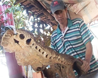 Phát hiện xương đầu cá sấu khổng lồ tại Vàm Đầu Sấu