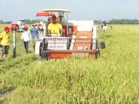 Cần giải pháp đồng bộ