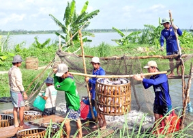 TP Cần Thơ phát triển kinh tế tập thể trong tiến trình hội nhập