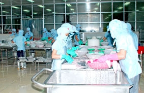 Xuất khẩu thủy sản tiếp tục tăng trưởng ?