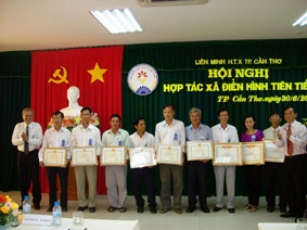 TP Cần Thơ phát triển kinh tế tập thể trong tiến trình hội nhập