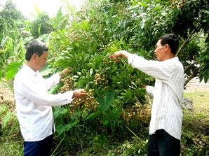 Hơi ấm trong căn nhà tình nghĩa