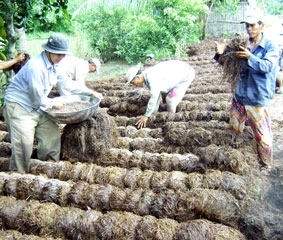 Tích cực hỗ trợ nông dân vươn lên khá, giàu