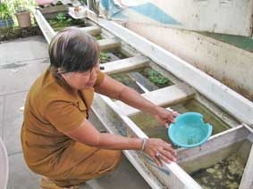 Ung thư - nỗi đau và gánh nặng