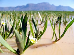 2 Trái đất mới đáp ứng đủ nhu cầu tài nguyên của nhân loại