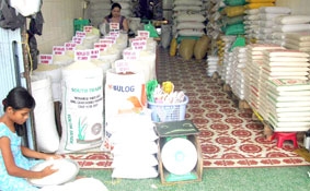 An ninh lương thực nhìn từ vựa lúa ĐBSCL