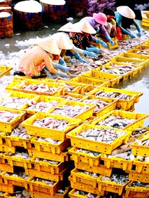 Đẩy mạnh phát triển công nghiệp chế biến